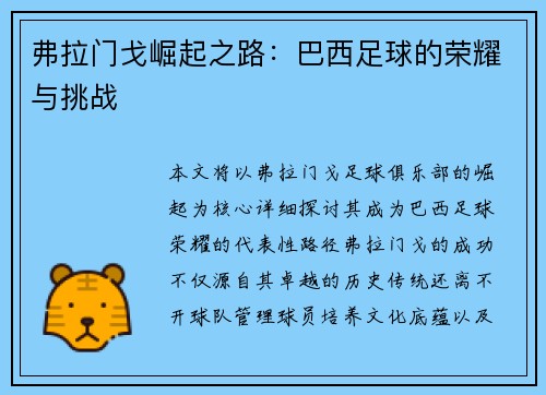 弗拉门戈崛起之路:巴西足球的荣耀与挑战 弗拉门戈崛起之路:巴西足球的荣耀与挑战